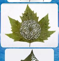 Leaf Art Design اسکرین شاٹ 2