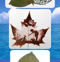 Leaf Art Design capture d'écran 3