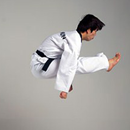 Study Guide Taekwondo APK