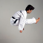 Study Guide Taekwondo icon
