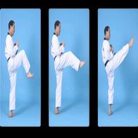 Study Guide Taekwondo screenshot 1