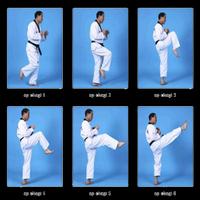 Study Guide Taekwondo screenshot 2