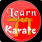 Learn karate icône