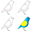 Learn Draw Step By Step