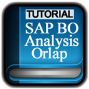 SAP BO Analysi For OLAP Tutorials Offline APK