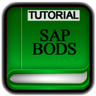Tutorials for SAP BODS Offline آئیکن