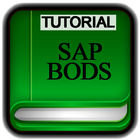 Tutorials for SAP BODS Offline-icoon