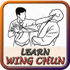 Learn Wing Chun Offline icono