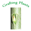 Learning Grafting Plants