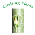 Learning Grafting Plants simgesi