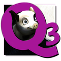 Q3