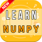 Learn NumPy icône