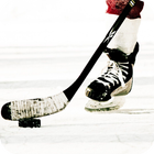 Hockey Live Wallpaper 图标