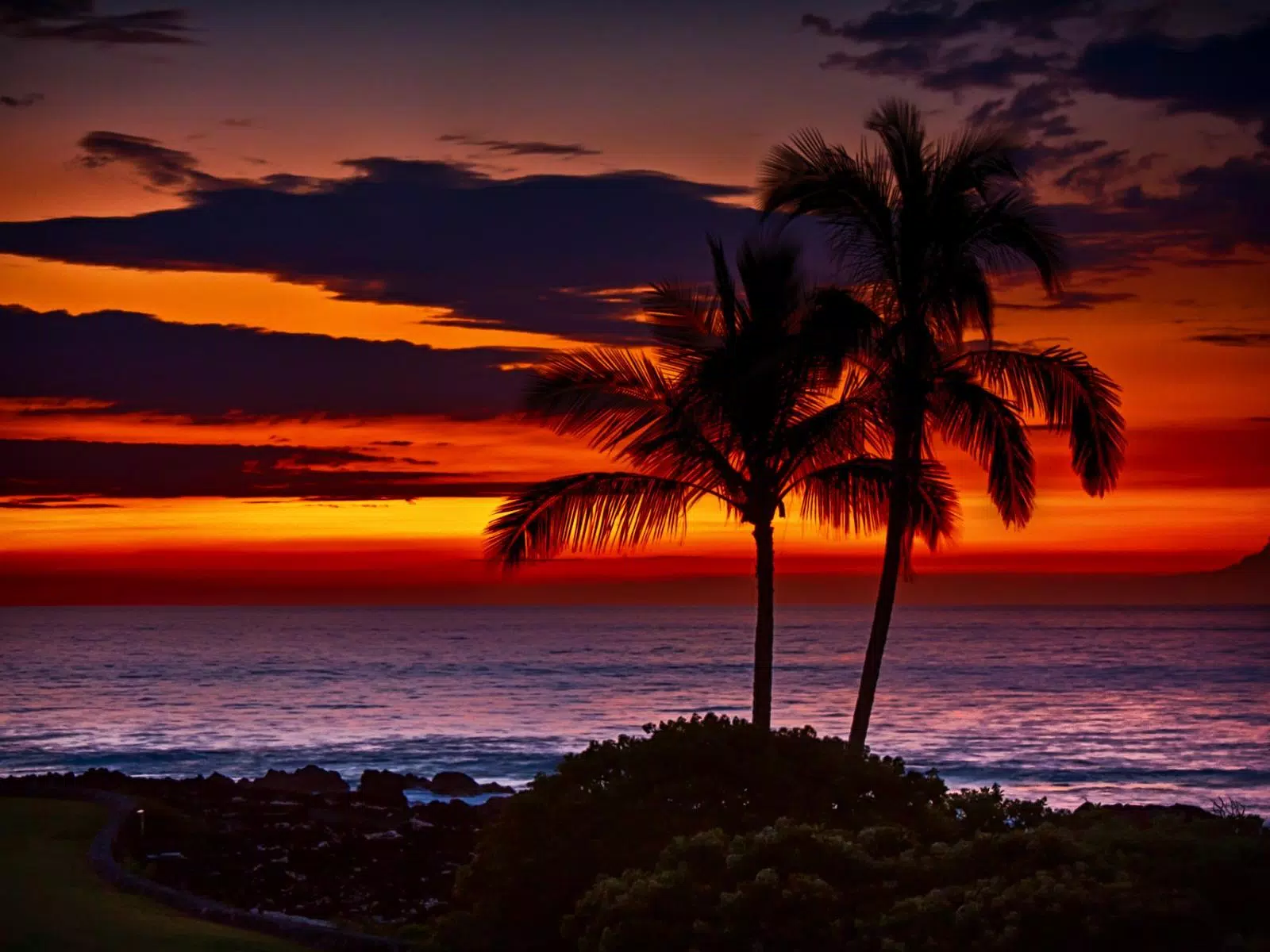 Hawaii Live Wallpaper For Android Apk Download