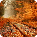 Rail Live Wallpaper Rush APK
