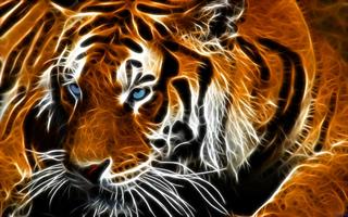 Tiger Eyes Live Wallpaper پوسٹر