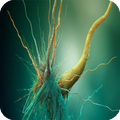Virus Live Wallpaper