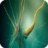 Virus Live Wallpaper