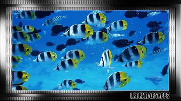 Aquarium Wallpaper تصوير الشاشة 2