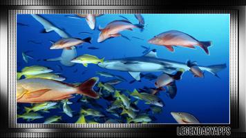 Aquarium Wallpaper تصوير الشاشة 3