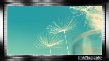 Dandelion Wallpaper اسکرین شاٹ 3