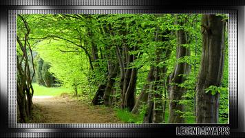 Fantasy Forest Wallpaper ポスター