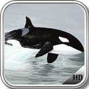 Orca Wallpaper APK