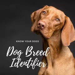 Dog Breed Identifier With Picture