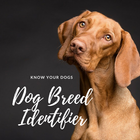 Hondenrasidentificatie met afbeelding-icoon