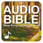 Nouveau King James Audio icône