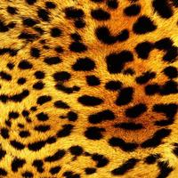 Leopard Print Live Wallpaper-poster