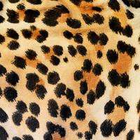 Leopard Print Live Wallpaper screenshot 3