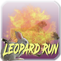 Leopard Run