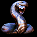 APK New Snakes