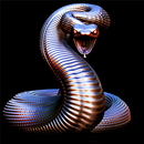 New Snakes APK