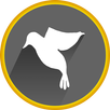 Pomba of Doodie APK