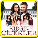 Kırgın Çiçekler Bilgi Yarışması-APK