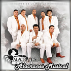 Alacranes Musical Por Tu Amor icon