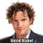 David Bisbal Me Enamoré De Ti icône