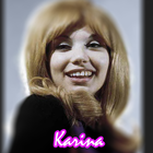 Karina - Se Como Duele icono
