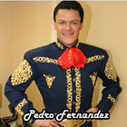 Pedro Fernandez El Aventurero ícone