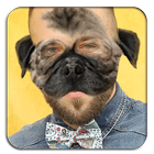 Animal Face Editor Pro icon