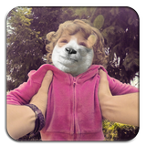 Animal Cara Foto Editor ícone