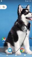 برنامه‌نما Husky Pup Wallpapers HD عکس از صفحه