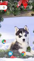 برنامه‌نما Husky Pup Wallpapers HD عکس از صفحه