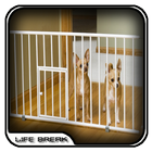 Indoor Dog Fence Design simgesi