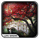 Jardim Japonês Design Ponte APK