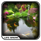 Japanese Koi Garden Design آئیکن