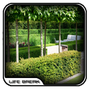 Modern Garden Hedges Design APK
