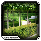 Modern Garden Hedges Design icône